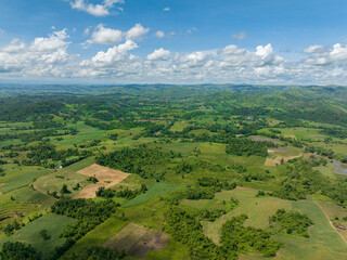 Aerial view of farmland and plantations with vegetables in the countryside. Negros, Philippines