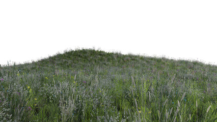 春の草原 花咲く草原 春の花咲く草原 透過png