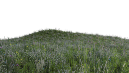 春の草原 花咲く草原 春の花咲く草原 透過png