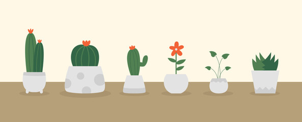 House plant vector collection, succulent.