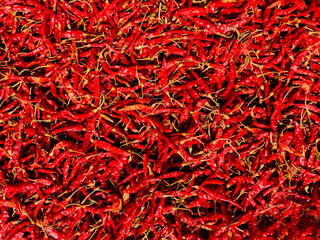 Naklejka premium Dried red peppers background. Red chili for cooking. Dry hot chilies background.