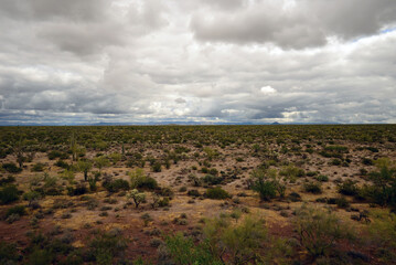 Storm Clouds Sonora Desert Arizona