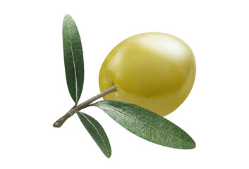 Delicious olive cut out