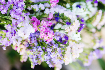 lilac flowers in the garden
