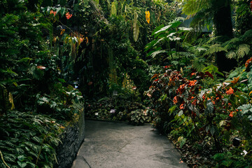 Path in a lush tropical garden in Singapore