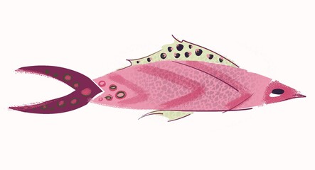 Pink fish on a white background