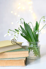 snowdrop flowers, vintage key and books on table, abstract blurred marble background. Blossoming snowdrops, symbol of spring season. Relaxation, reading time