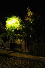 Drzewo nocą oświetlone światłem latarni przy brukowanej ulicy - obrazy, fototapety, plakaty