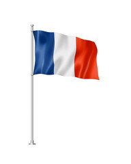 French flag isolated on white - 574356486