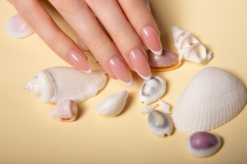 Hands with long artificial nails with french manicure holding seashells