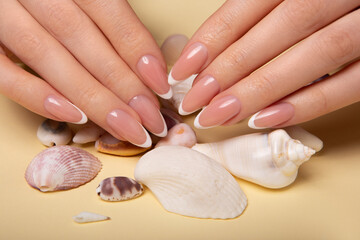 Obraz na płótnie Canvas Hands with long artificial nails with french manicure holding seashells