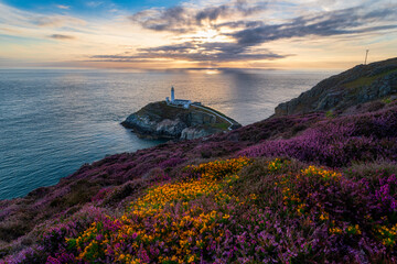 South Stack Lighthouse 