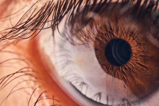 Details of an open brown eye.