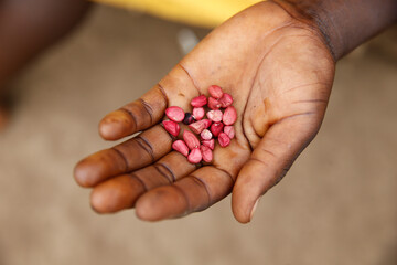 Ground nuts. Uganda.