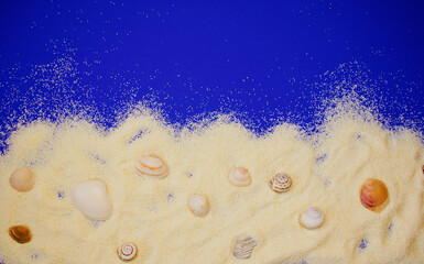 shells and snail shells on white fine-grained sand on a blue background, close up, copy space