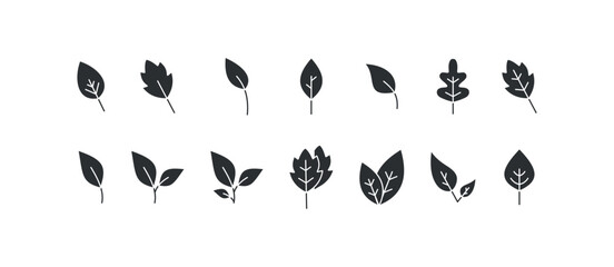 Leaf icon set.   Tree leaves, sprout vector desing.