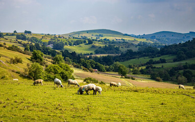 Upper Dove Valley