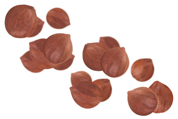 Levitation of hazelnut kernels isolated on a transparent background.