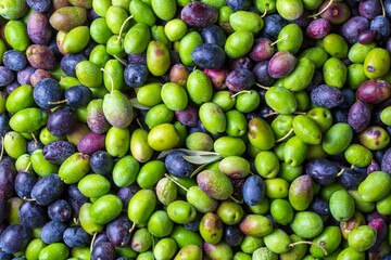 Green and black olives with leaves texture background