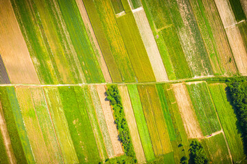 Aerial view on green and yellow parts of fields and countryside