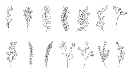 doodle flower set, plants, botanical set, vector illustration