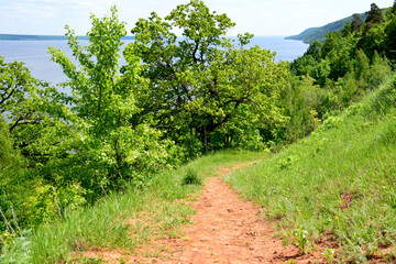 Fototapeta na wymiar clay footpath in mountain with green grass, oak forest and river on horizon