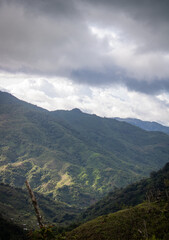Fototapeta premium fotografia de naturalez, Panama - Comarca Ngöbe Buglé - rio balsa.