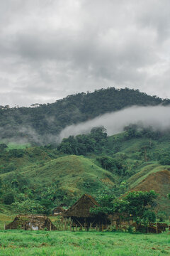 fotografia de naturaleza, Panama - Comarca Ng&ouml;be Bugl&eacute; - sirote