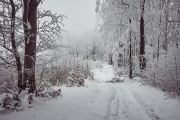 Winter on a mountain trail (in the Beskids)