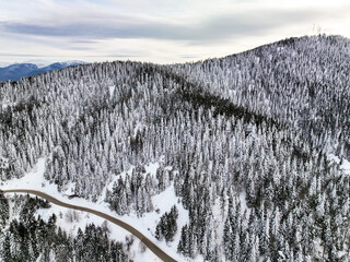 Golcuk - Bolu - Turkey, winter snow during snowfall. Travel concept drone photo. Highway, road in snowy tree landscape.