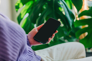 woman in purple sweater holding cell phone with the screen facing her in front of palm trees