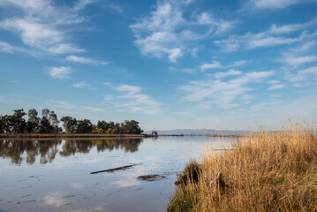 Grizzly Slough, a canal in the  Suisun Marsh near Grizzly Island road on a partly cloudy day with...