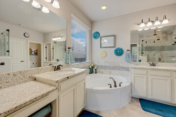 Home bathroom 