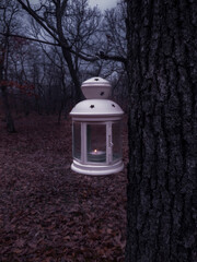 Lantern on a branch of tree in the forest
