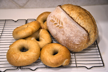 Organic Sourdough Bread and Bagels fresh out of the home oven