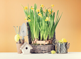Easter festive composition with beautiful spring flowers, birdhouse and Easter decor. Easter spring banner