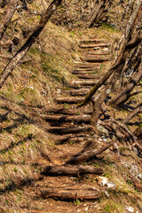 Stairs outside in nature, europa