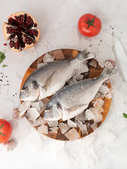 frozen fresh dorado on a wooden board on the ice on a gray rock background