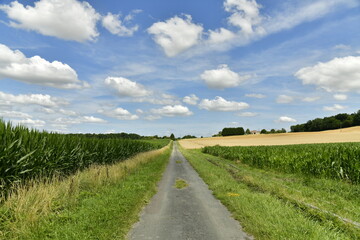 Fototapeta na wymiar Route étroite de campagnes entre les champs d'agriculture près du bourg de Champagne au Périgord Vert 