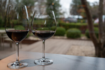 Tasting of red reserva rioja wines, visit of winery cellars in Haro, capital of Rioja wine making region, Spain