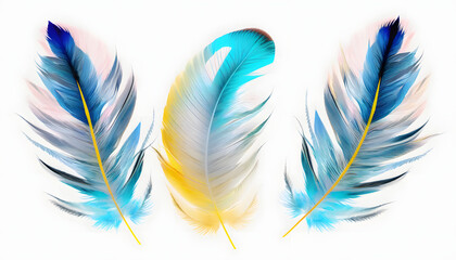 Set of blue and yellow feather closeup isolated on white background, wallpaper