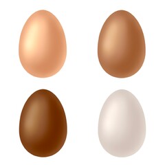 Natural colour egg isolated set. Realistic chicken eggs on white background 