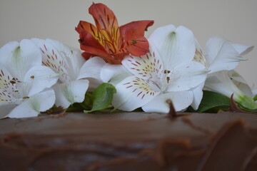 Doces e bolos