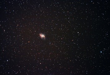 Nebulosa del Cangrejo (M1) 2017 © Jess