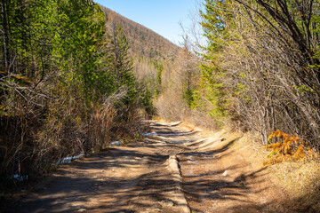 Road uphill with large stones in the background of the forest and mountains, off-road in Altai,...