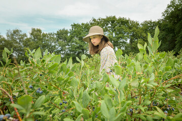 Naklejka na ściany i meble Harvesting. Portrait at work. Teenage girl in a wide-brimmed hat on the field.