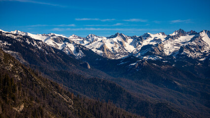 panorama of mountains in sequoia national park seen from moro rock; spring panorama of unique mountains with large sequoia trees