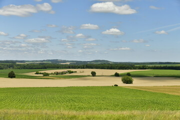 Dégradé de couleurs sombres et claires sur les champs cultivables à perte de vue entre le Puy de Versac et Goût-Rossignol au Périgord Vert 