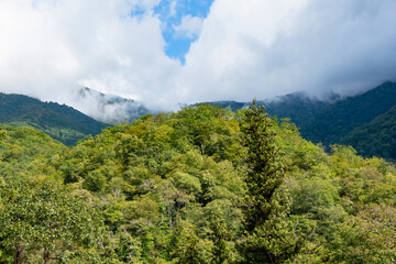 Mountains and forests of Abkhazia.