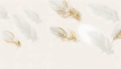 Beautiful white feather background
